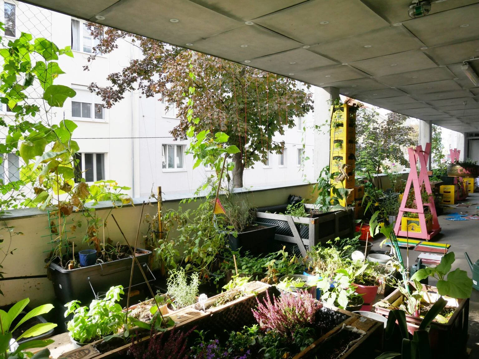 Pflanzkästen, Kletterpflanzen und Sitzplätze auf einer offenen Etage der Garage Grande